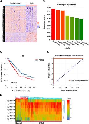 Integrative analysis of DNA methylomes reveals novel cell-free biomarkers in lung adenocarcinoma